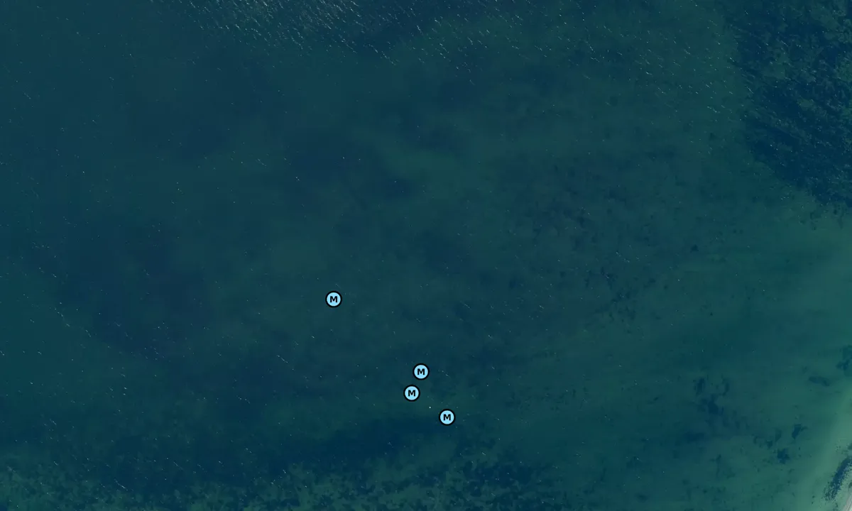 Satelite image of Vornæs Skov bouy