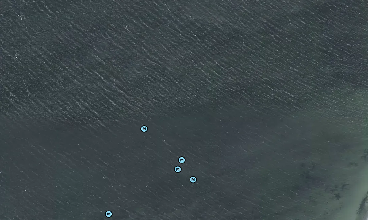 Satelite image of Vornæs Skov bouy