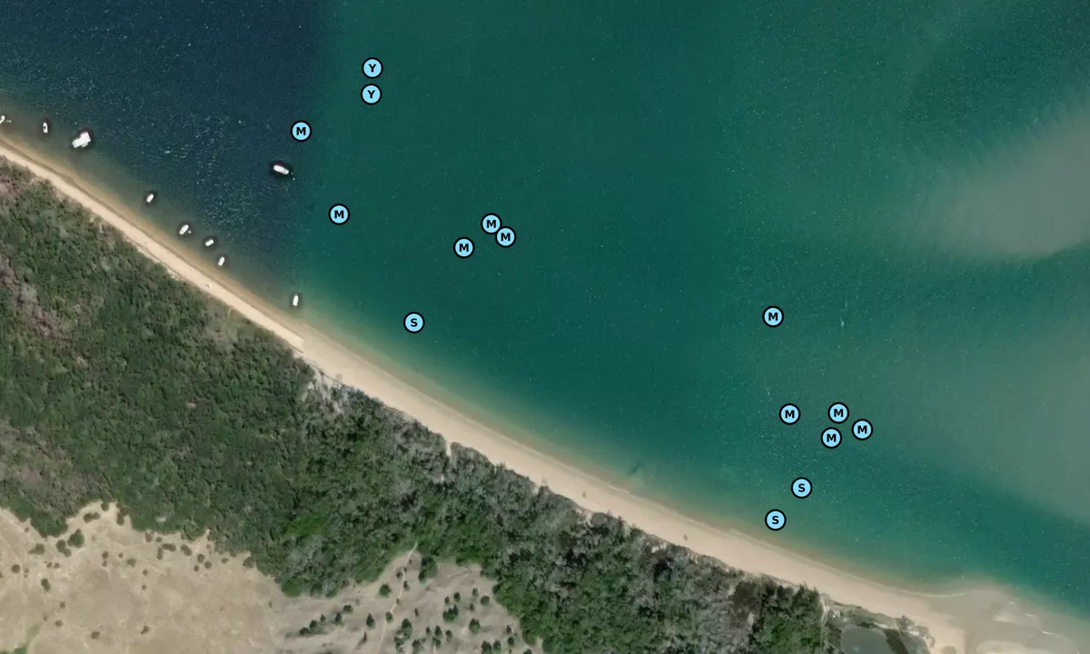 Satelite image of Wade Shores
