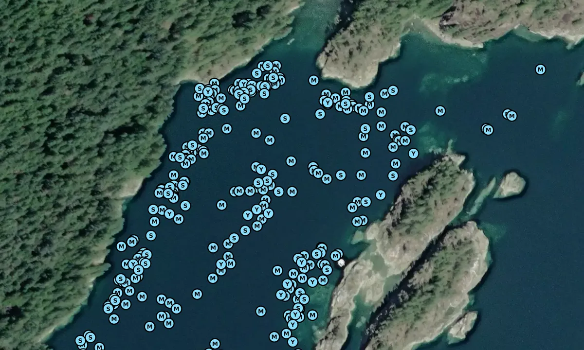 Satelite image of Walsh Cove