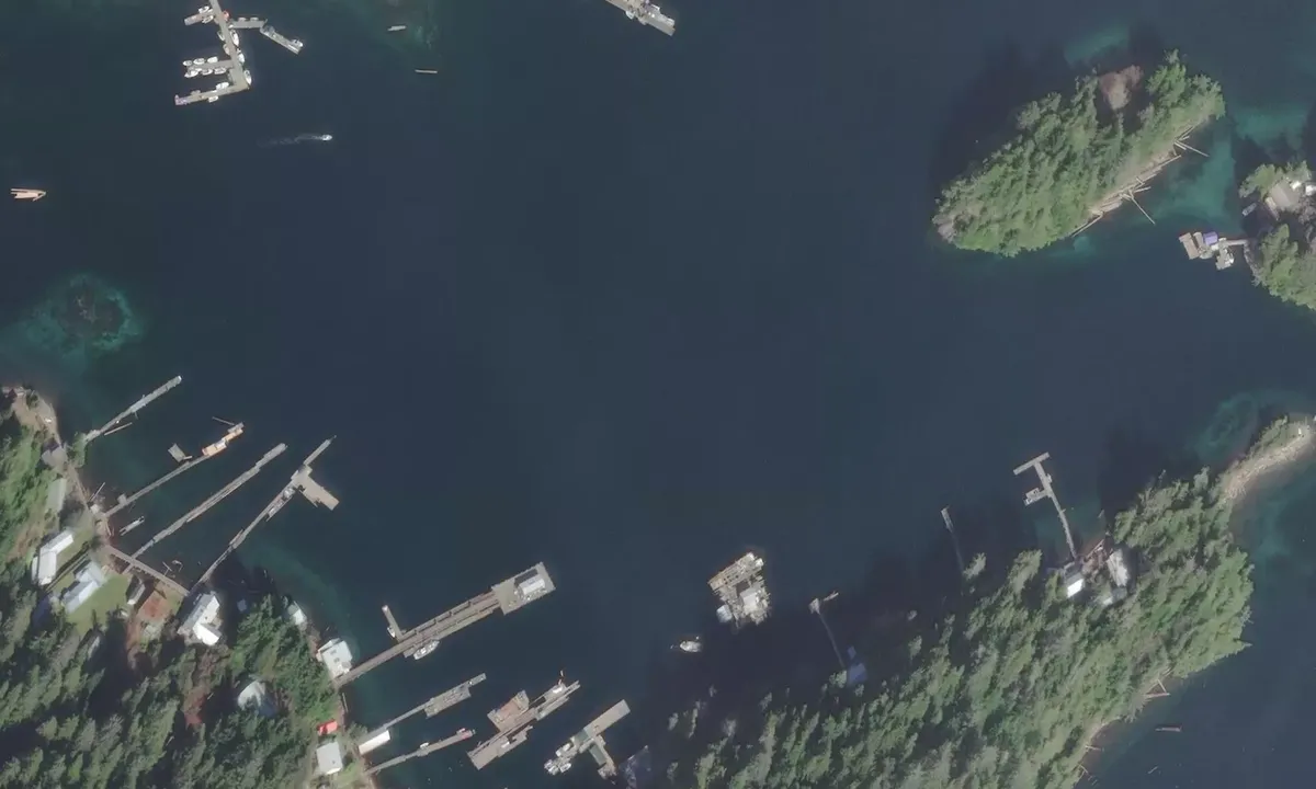 Satelite image of Walters Cove (Kyoquot) Public Dock