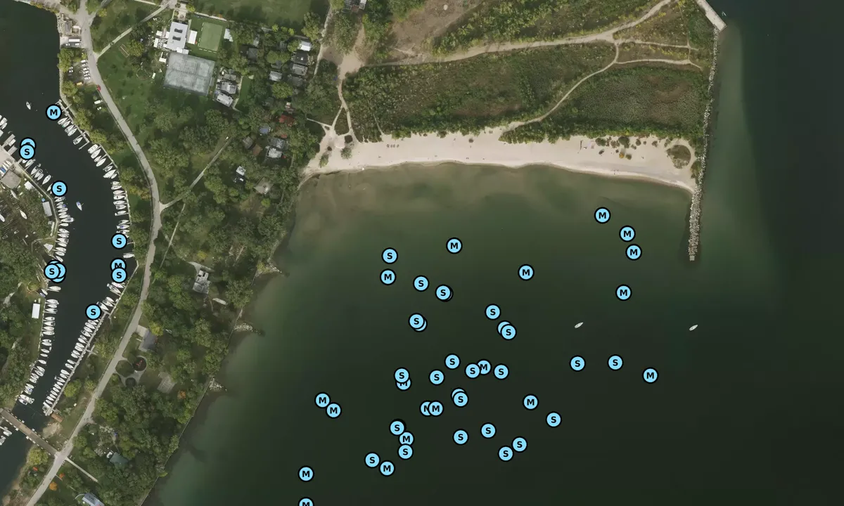 Satelite image of Wards Beach