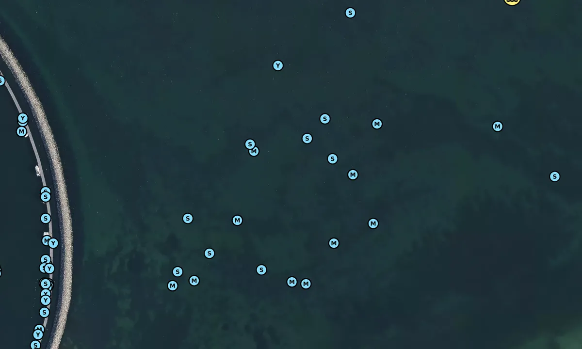 Satelite image of Warnemünde Anchorage 