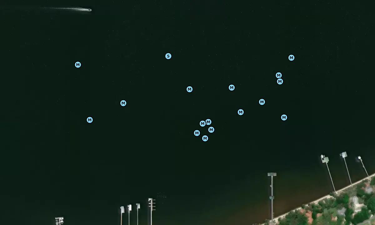 Satelite image of Waterfront Park 1