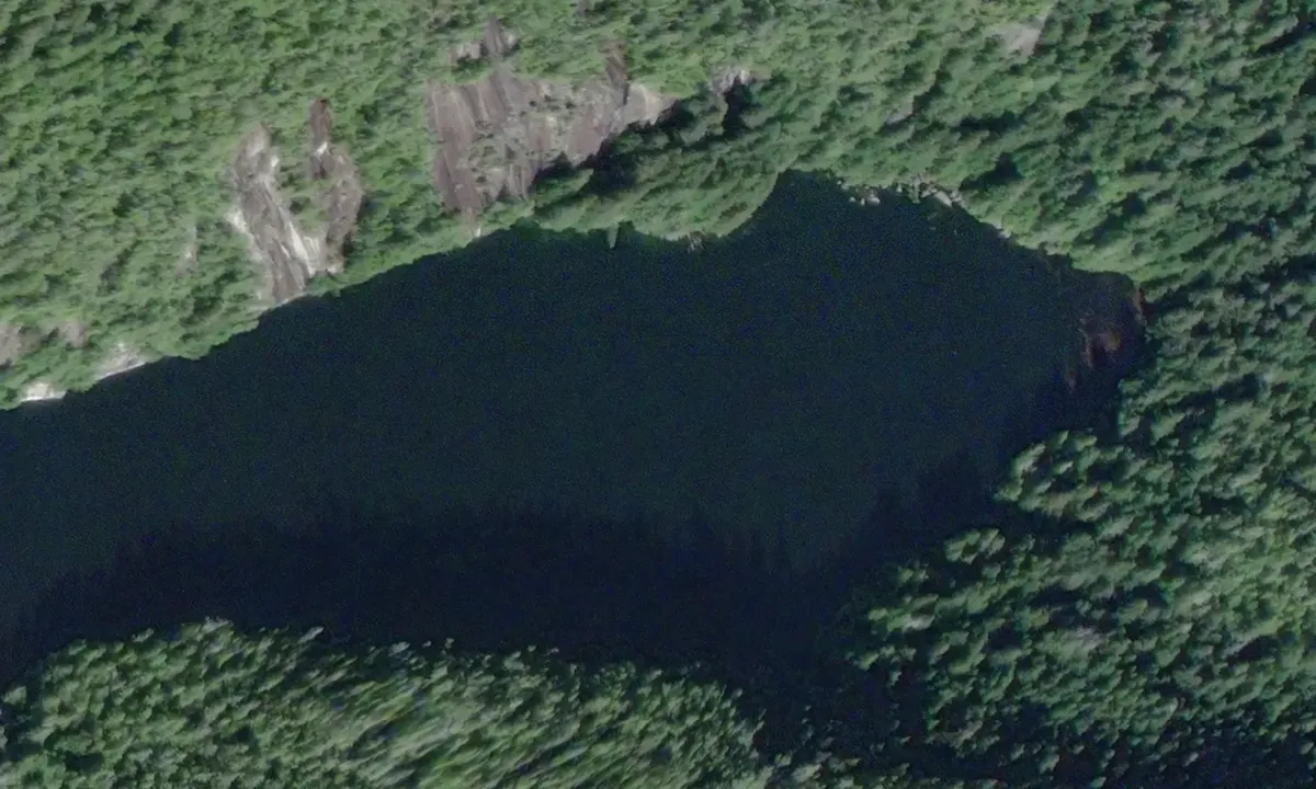 Satelite image of Watson Cove