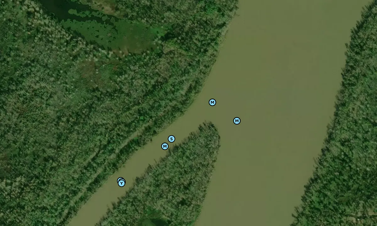 Satelite image of Wax Lake Outlet