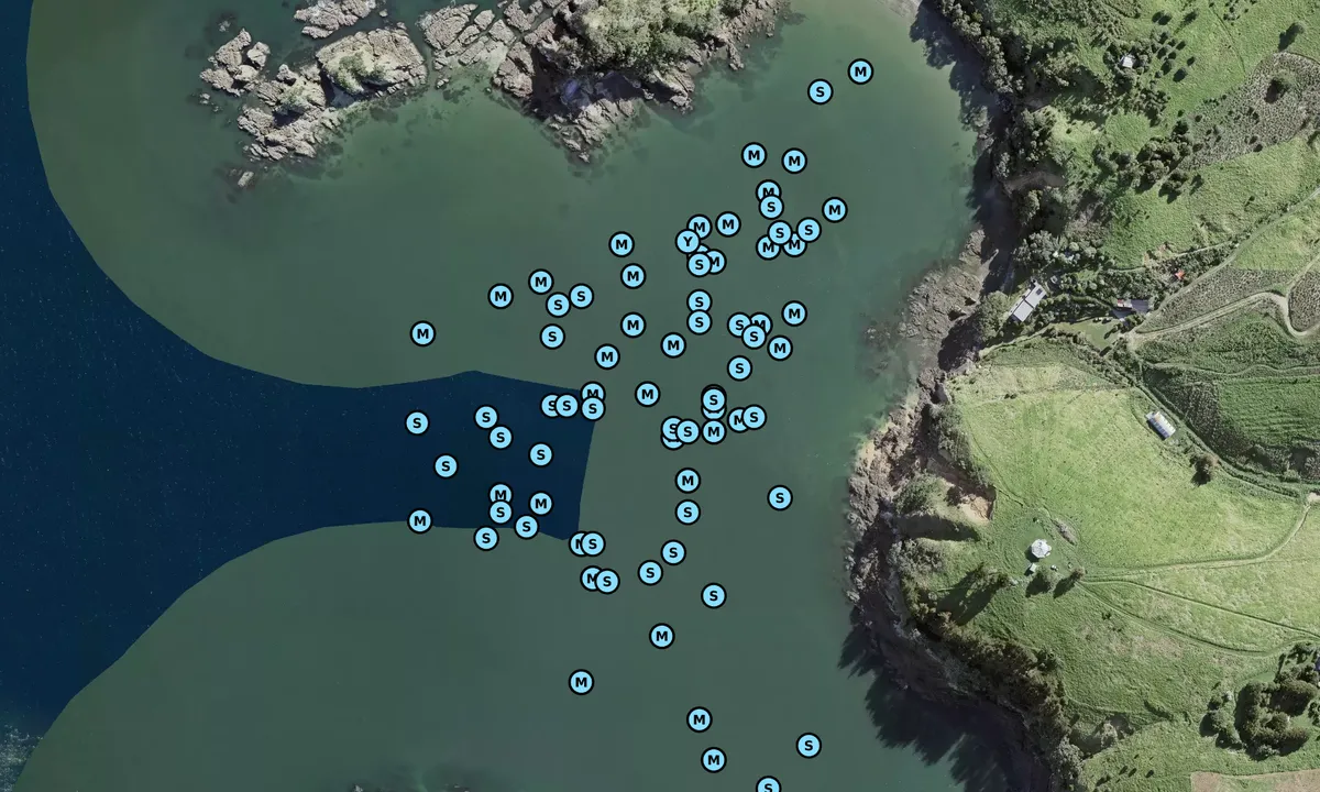 Satelite image of West Bay - Waiheke Island
