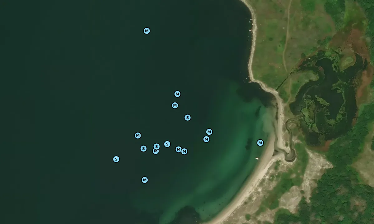 Satelite image of West Beach