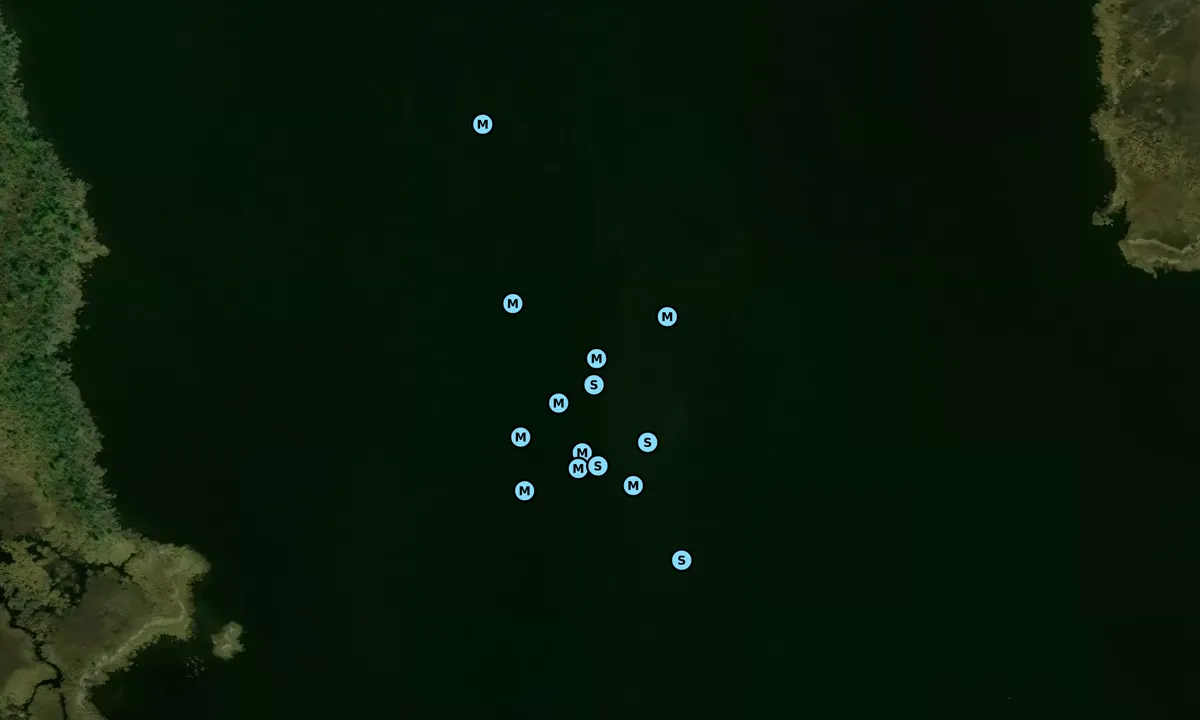 Satelite image of West Buck Island