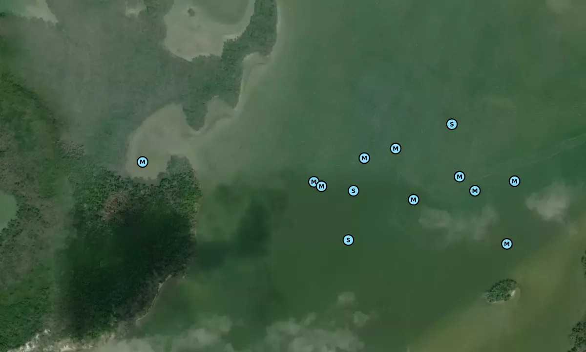 Satelite image of West Pass