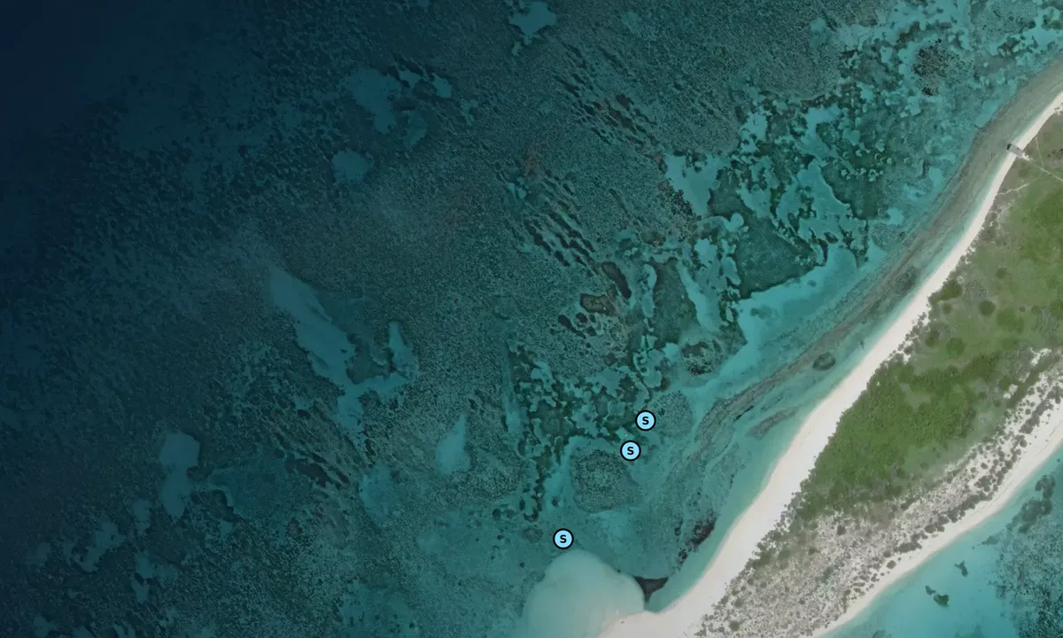 Satelite image of West Side (mooring)