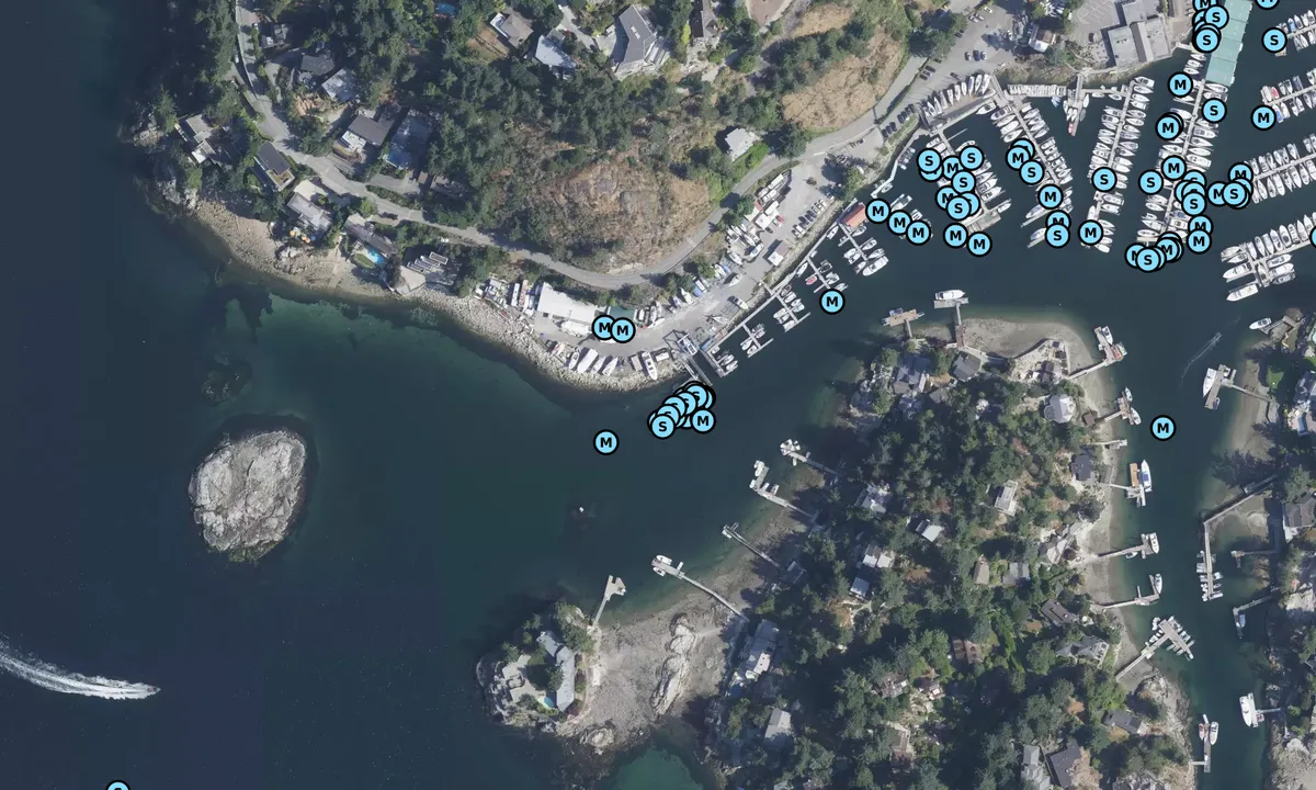 Satelite image of West Vancouver Marina