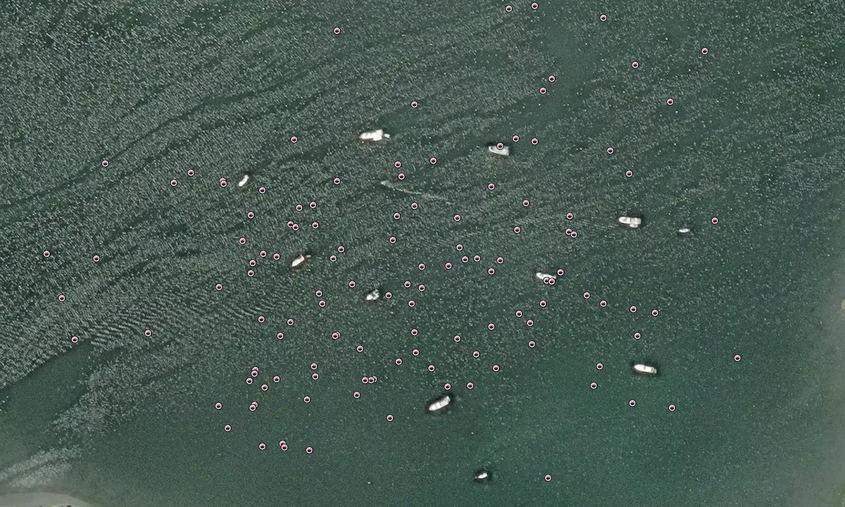 Flyfoto av Westcott Bay