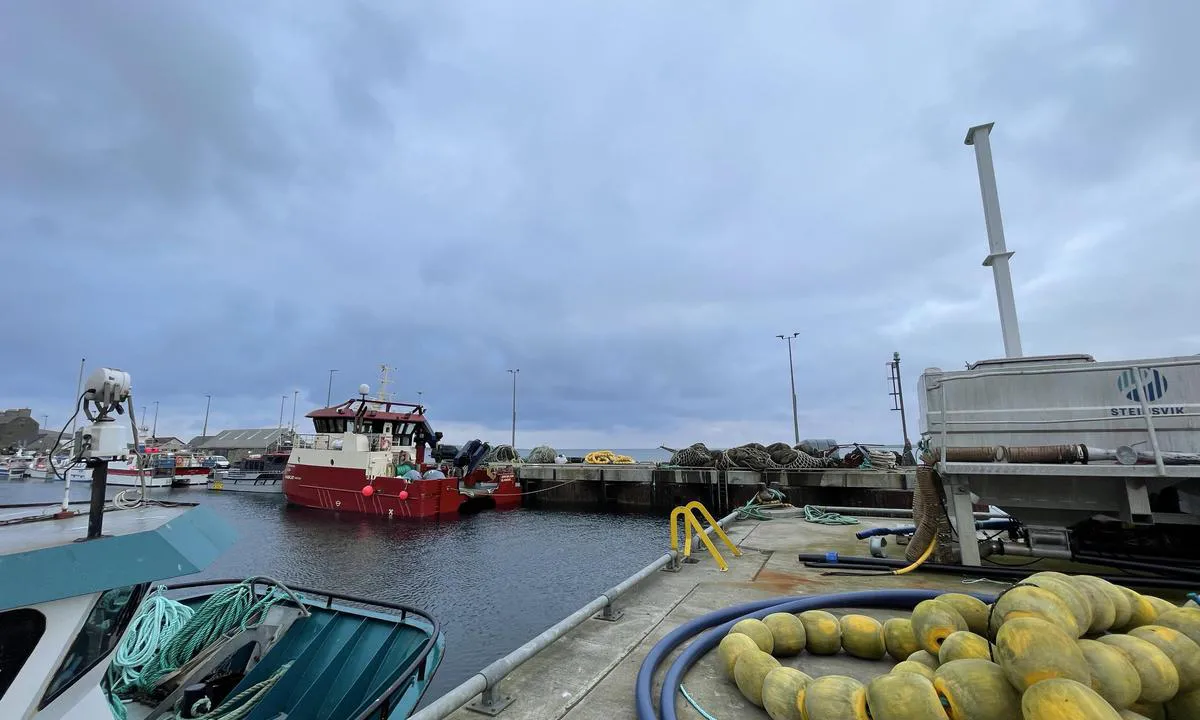 Westray Marina - Broughton: {"base": "en", "no": "Fiskeoppdrettsindustrien opptar det meste av havnen", "se": "Fiskodlingsindustrin upptar st\u00f6rre delen av hamnen", "en": "Fishfarming industry occupies most of the harbour", "da": "Fiskeopdr\u00e6tsindustrien optager det meste af havnen"}