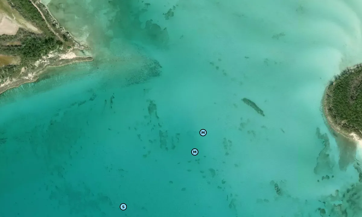 Satelite image of Whale Cay