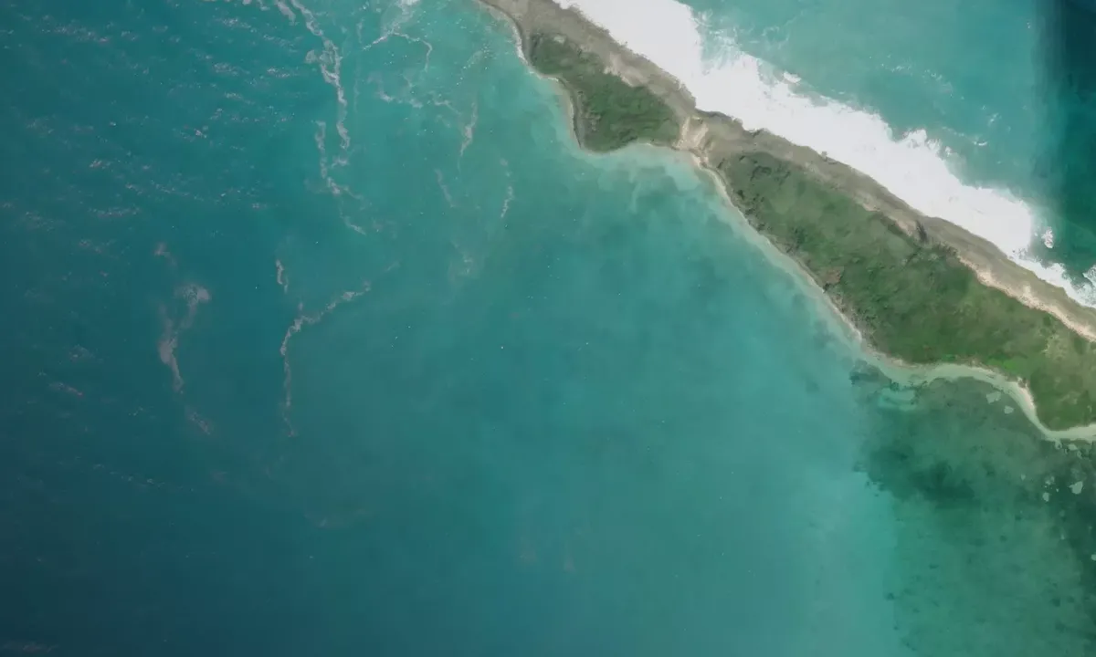 Satelite image of Whale Cay Northwest