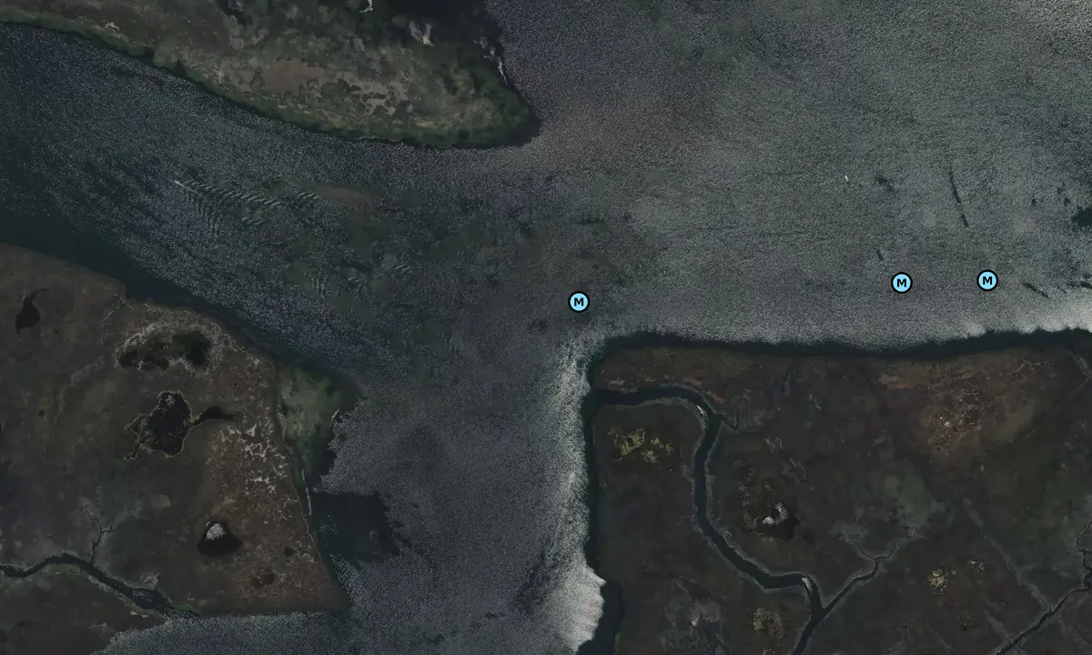 Satelite image of Whale Creek 1