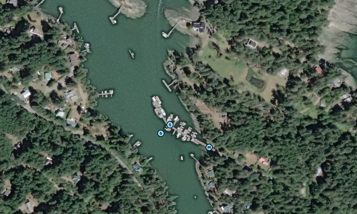 Satelite image of whaler bay