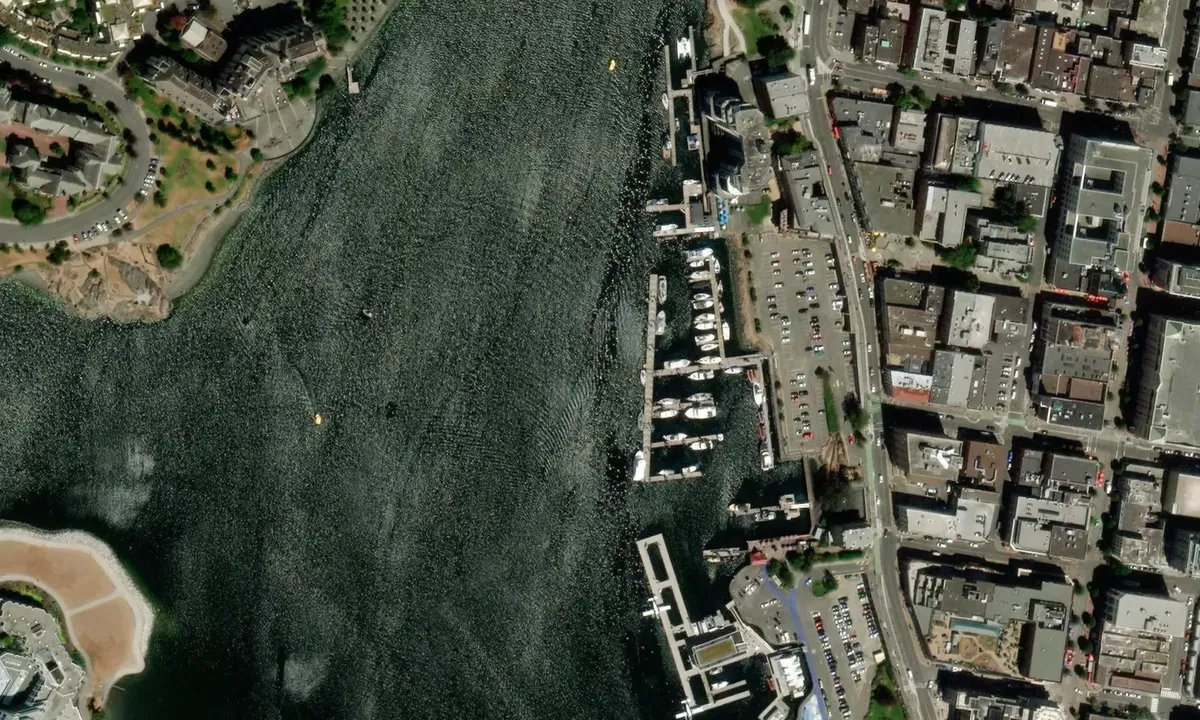 Flyfoto av Wharf Street Marina