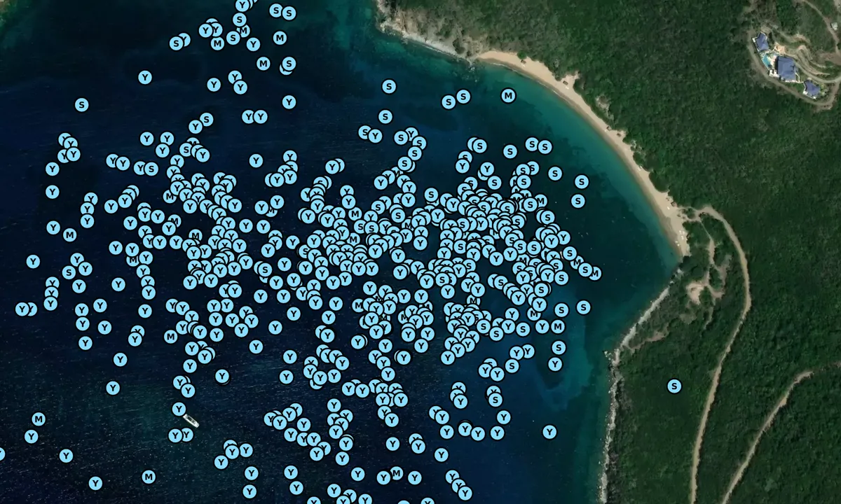 Satelite image of White Bay Beach