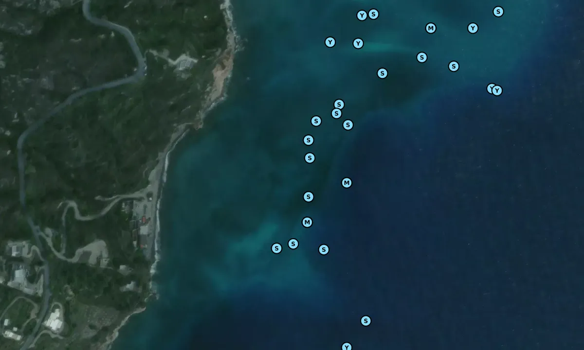 Satelite image of White Beach - Lido