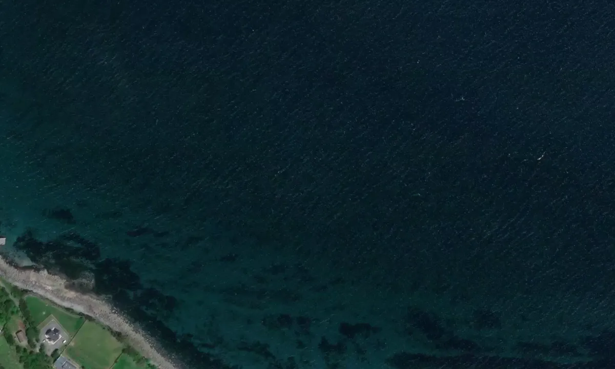 Flyfoto av White cliffs