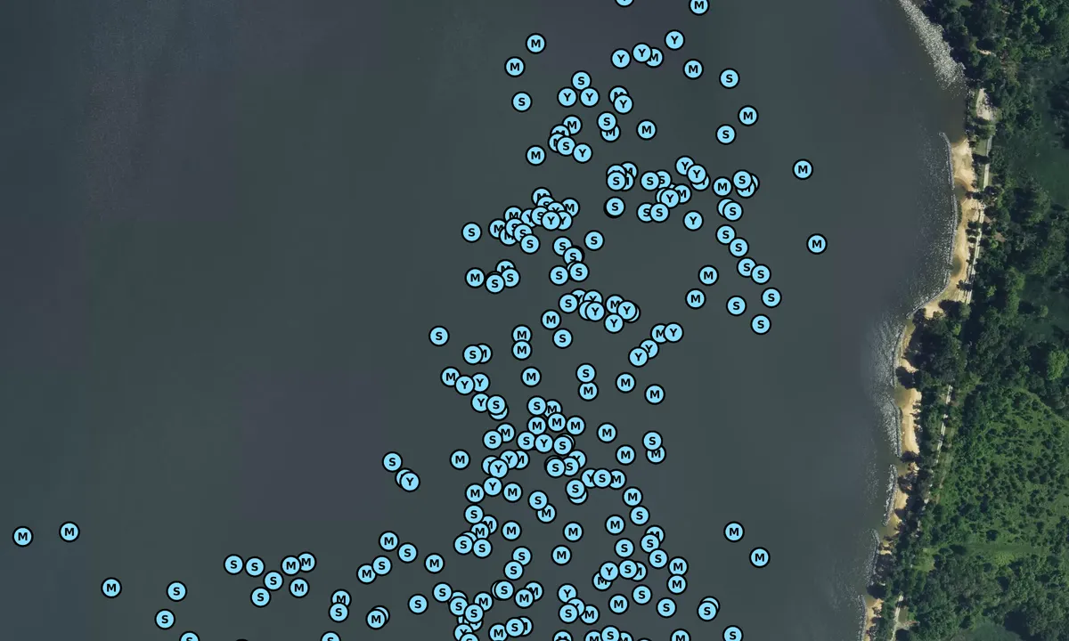 Satelite image of Whitehall Bay