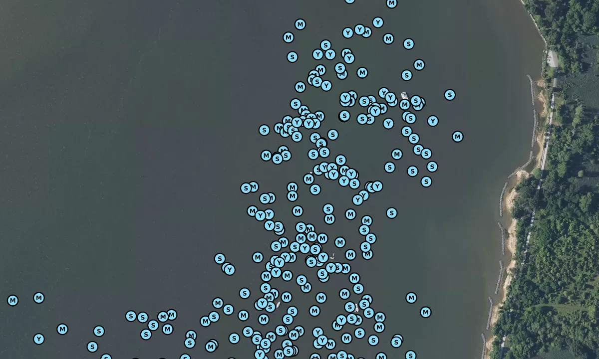 Satelite image of Whitehall Bay