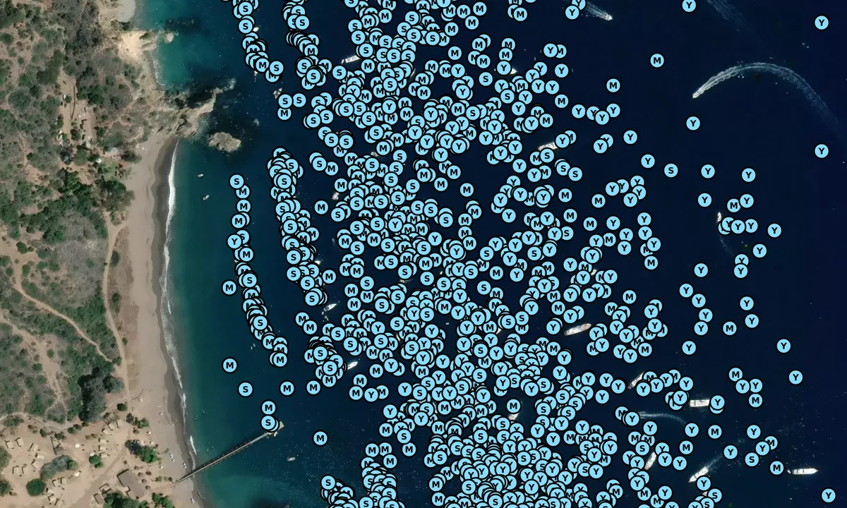 Satelite image of White's Landing