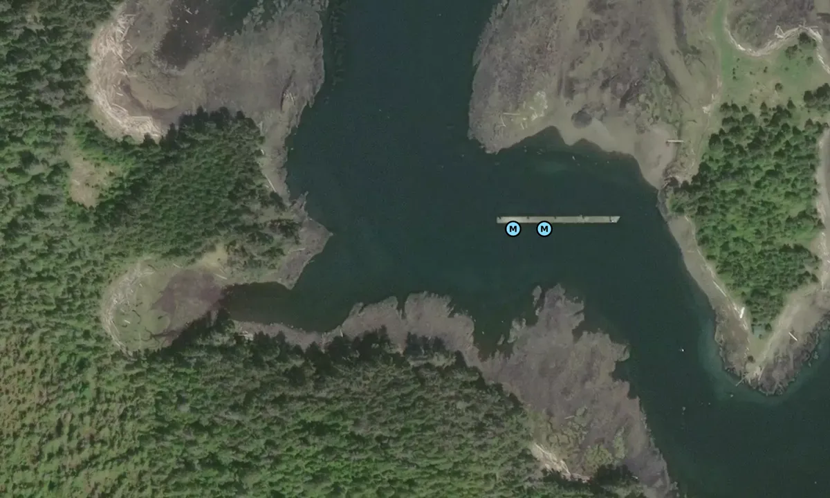 Satelite image of Wiah Point (Seven Mile)