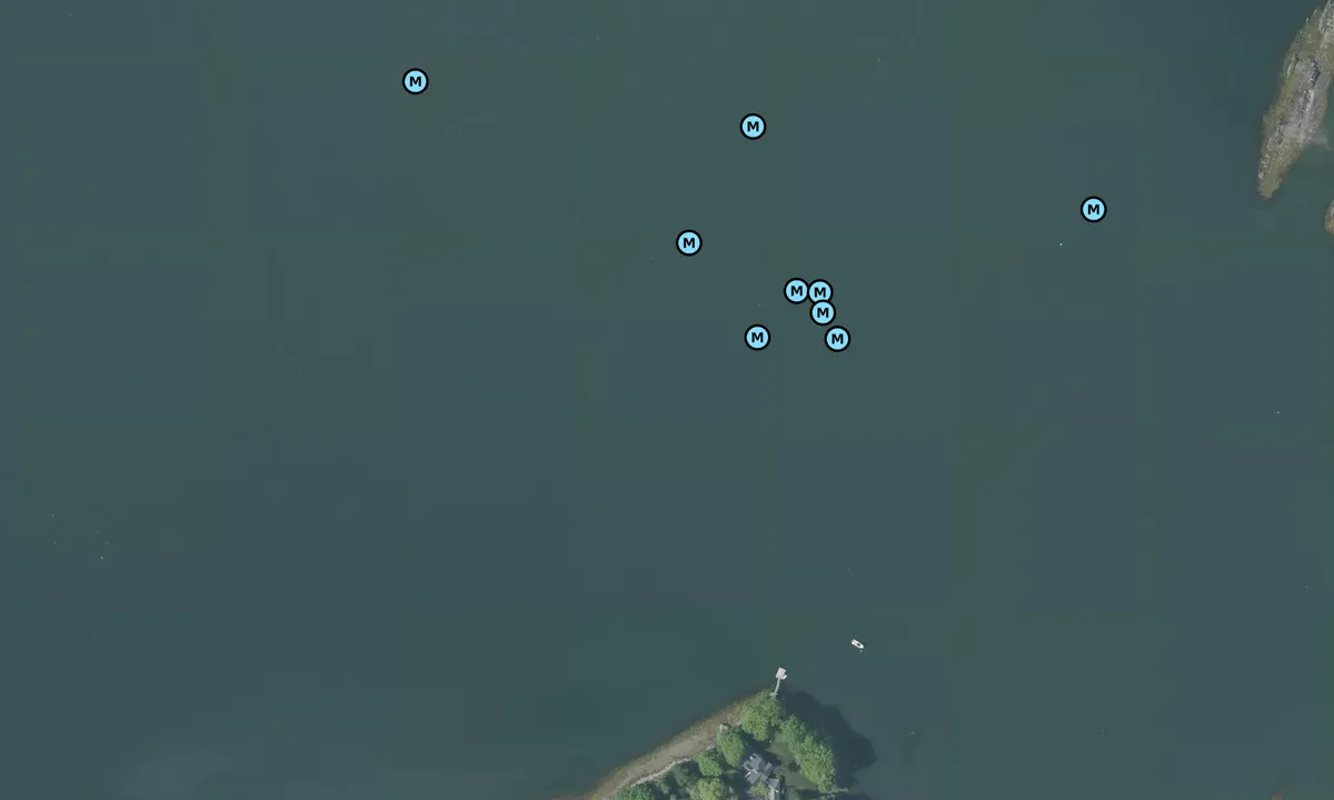 Satelite image of Wilson Cove