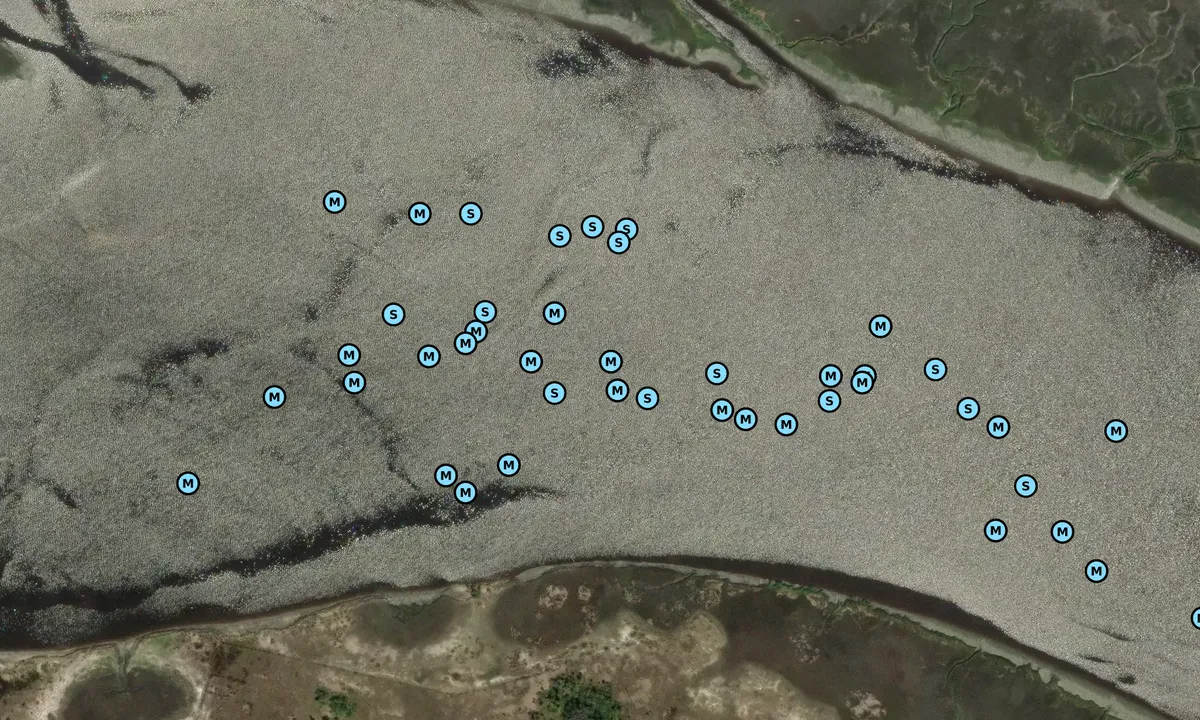 Satelite image of Wimbee Creek