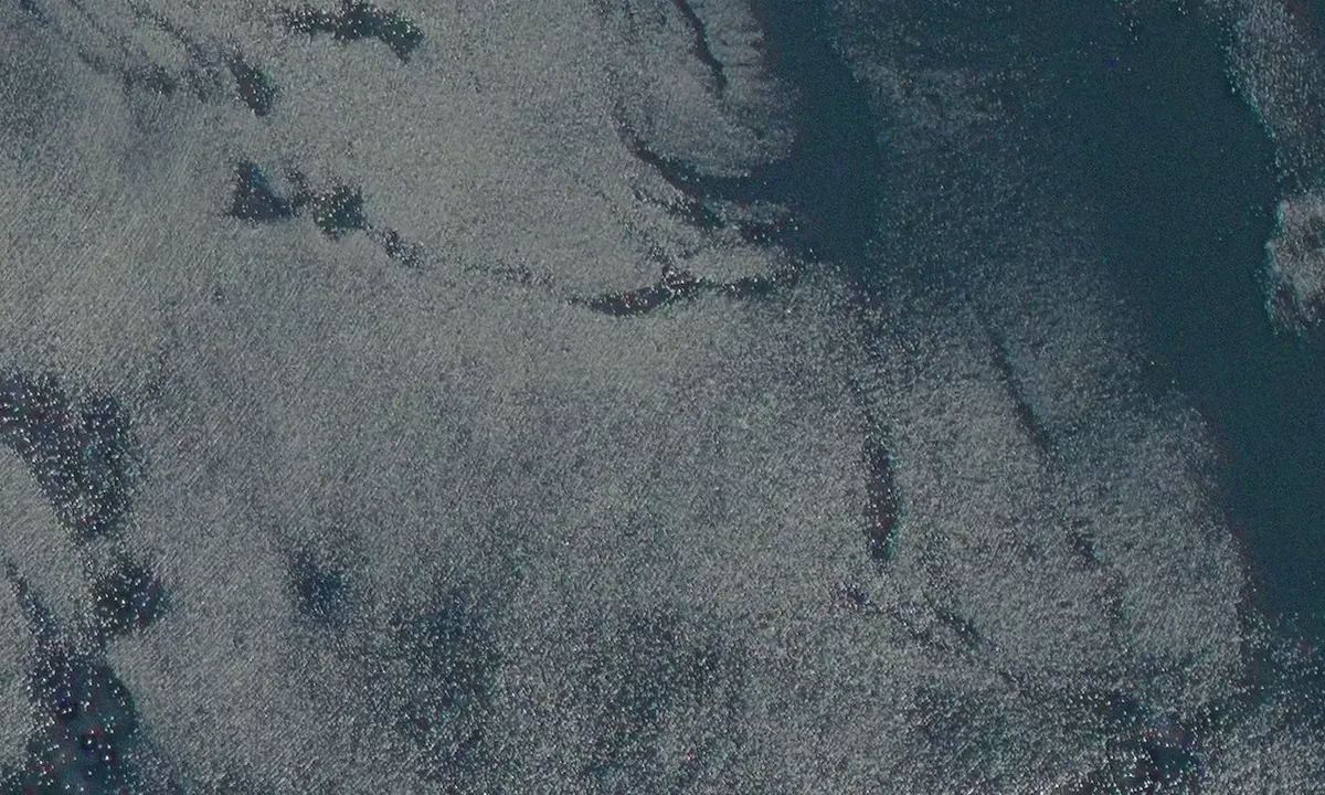 Satelite image of Windy Bay 1