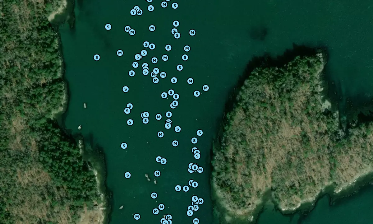 Satelite image of Witch Island