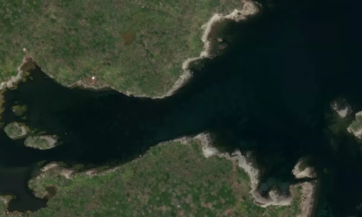 Satelite image of Wolfe Island Cove