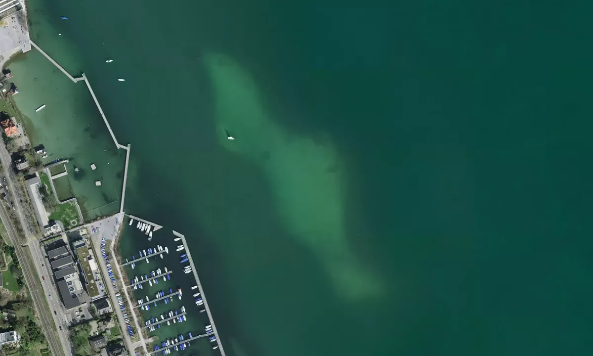 Satelite image of Wollishofen Sandbank