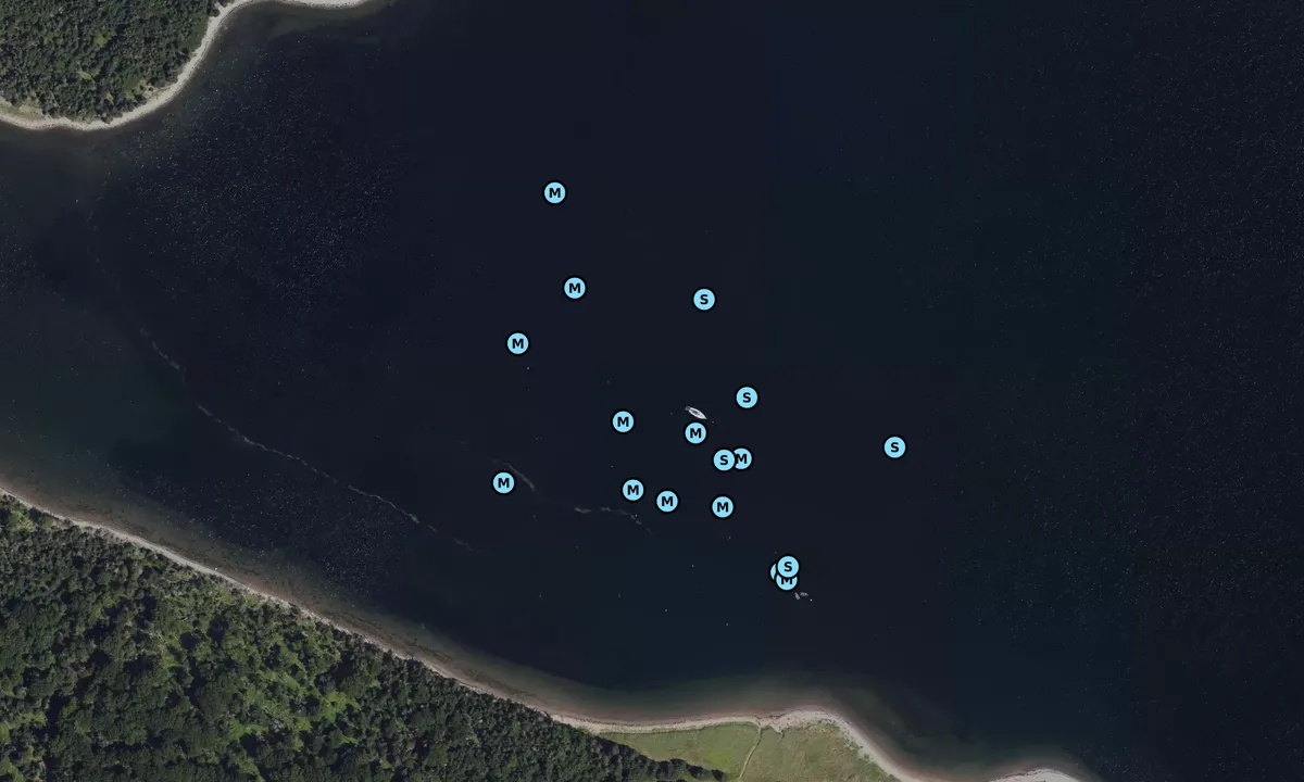 Satelite image of Wreck Cove