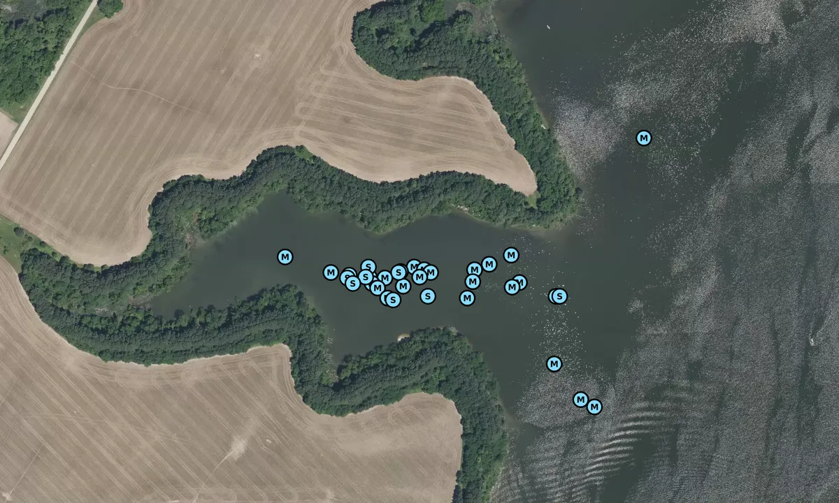 Satelite image of Wye Island