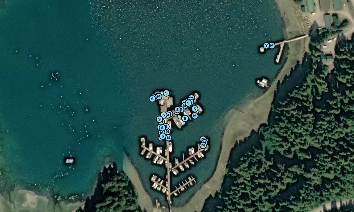 Satelite image of Yakutat Public Dock