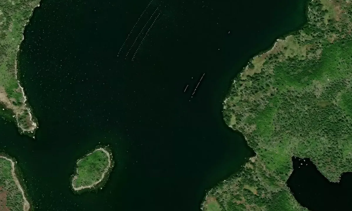 Satelite image of Yankee Cove