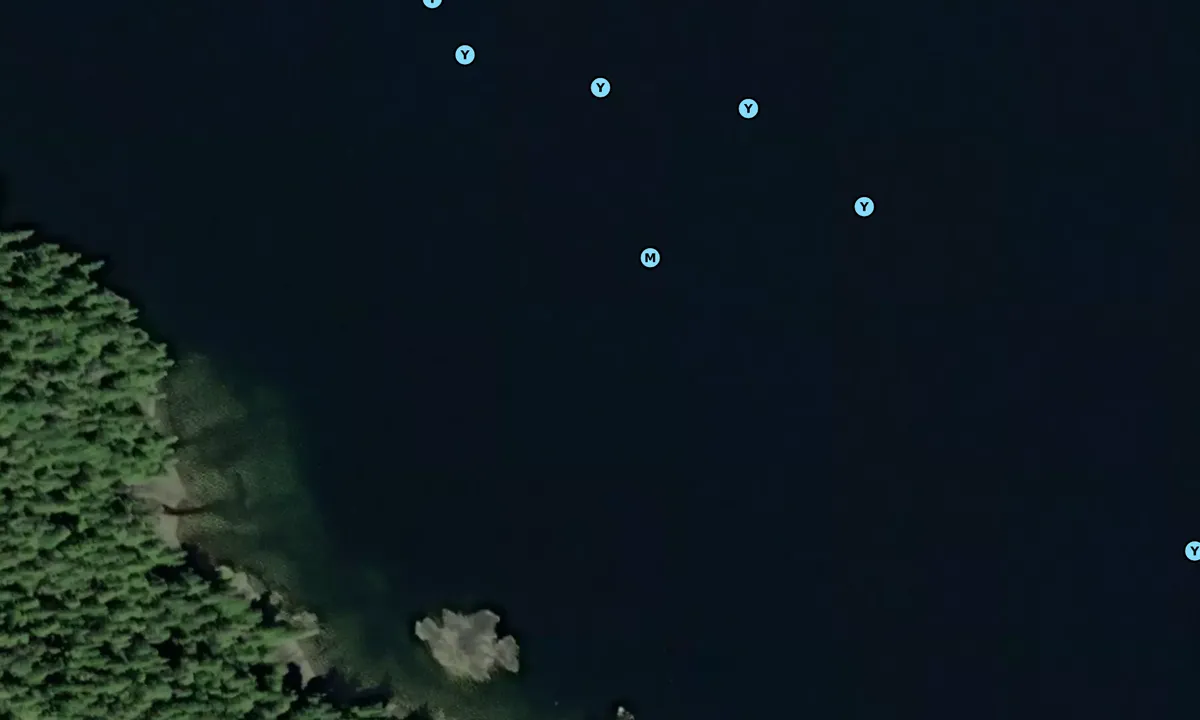Satelite image of Yes Bay Alternate