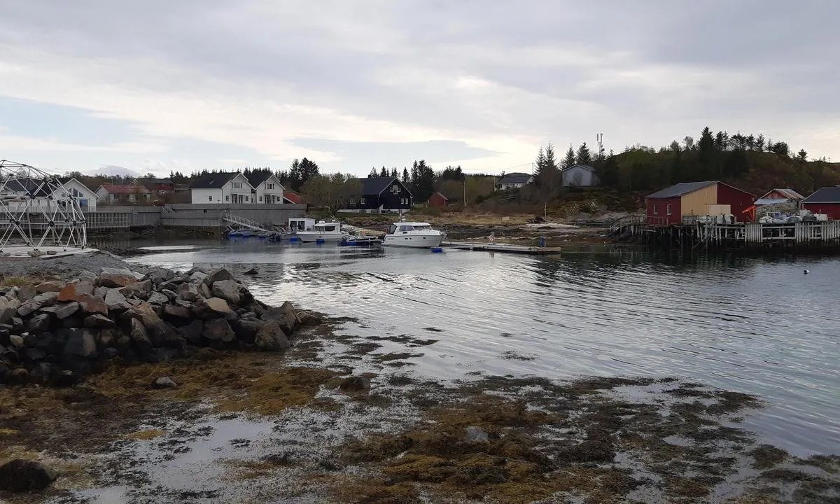Ylvingen: {"base": "no", "no": "Gjestebryggen er tatt vekk for reparasjon og ved bryggen innenfor er det ikke mer enn ca 120cm dybde.", "se": "G\u00e4stbryggan har tagits bort f\u00f6r reparation och vid bryggan innanf\u00f6r \u00e4r det inte mer \u00e4n ca 120 cm djup.", "en": "The guest dock has been removed for repairs, and at the dock inside, there is no more than approximately 120cm depth.", "da": "G\u00e6stebroen er taget v\u00e6k for reparation, og ved broen indenfor er der ikke mere end ca. 120 cm dybde."}