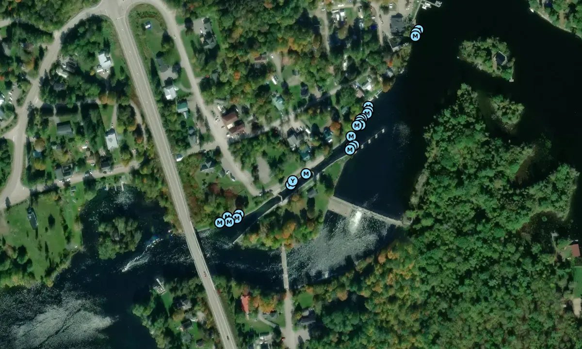 Satelite image of Young's Point Lock, Parks Canada