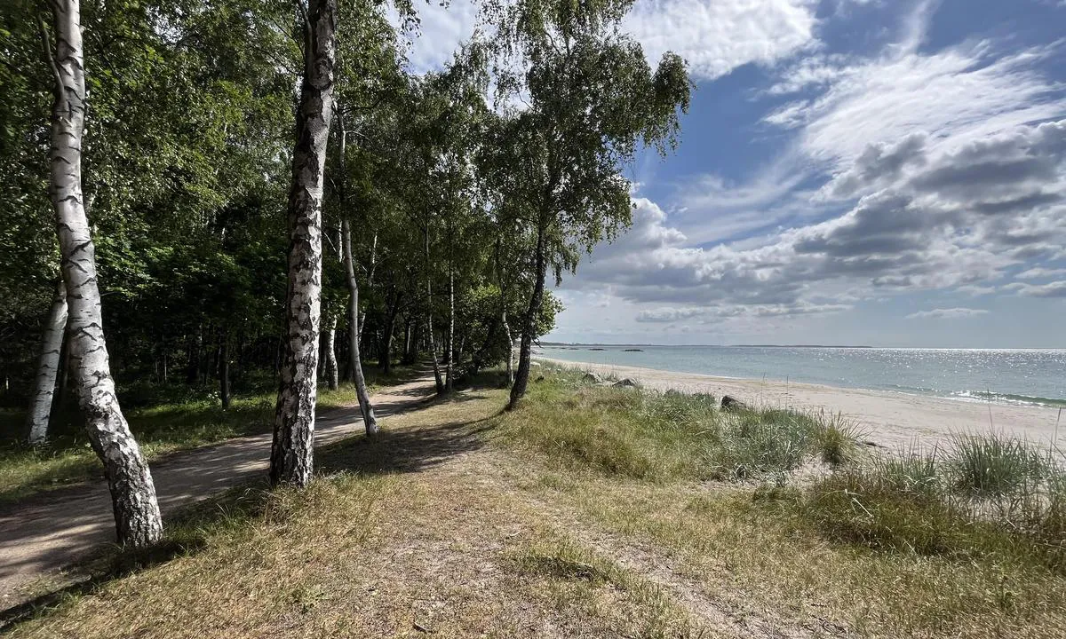 {"base": "no", "no": "Sandskogen, rett \u00f8st for Ystad anbefales! Stien g\u00e5r langs en fantastisk strand.", "se": "Sandskogen, r\u00e4tt \u00f6ster om Ystad rekommenderas! Stigen g\u00e5r l\u00e4ngs en fantastisk strand.", "en": "Sandskogen, just east of Ystad is recommended! The path runs along a fantastic beach.", "da": "Sandskoven, lige \u00f8st for Ystad anbefales! Stien g\u00e5r langs en fantastisk strand."}