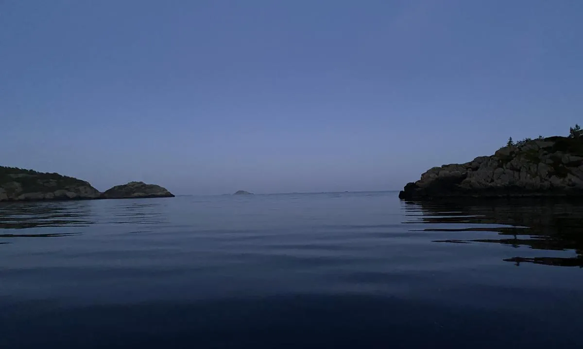 Ytre Snigsfjorden: Utover fjorden, rett ut i åpen sjø.