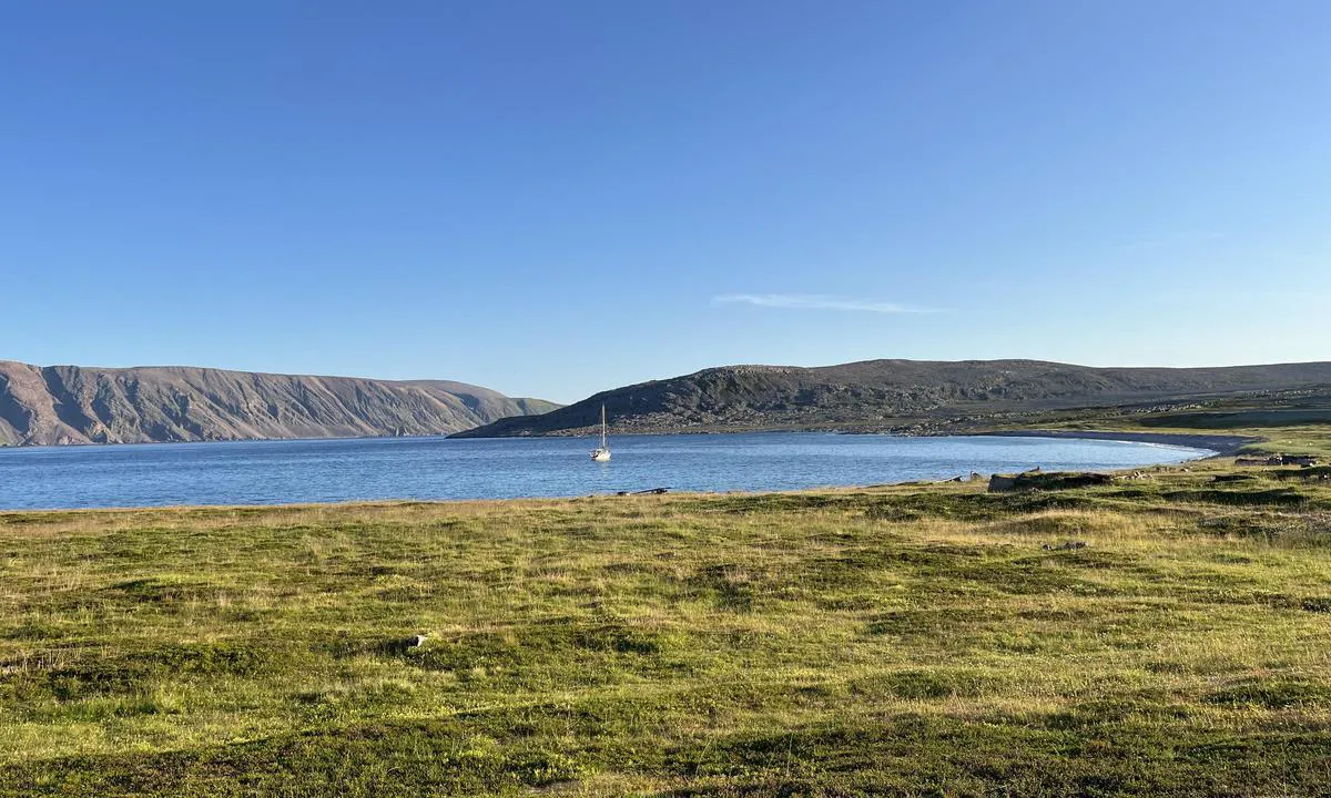 Ytre Syltefjord (Sandfjorden): {"base": "no", "no": "Sandbunn 5-9 m dybde.", "se": "Sandbotten 5-9 m djup.", "en": "Sandy bottom, 5-9 m depth.", "da": "Sandbund 5-9 m dybde."}