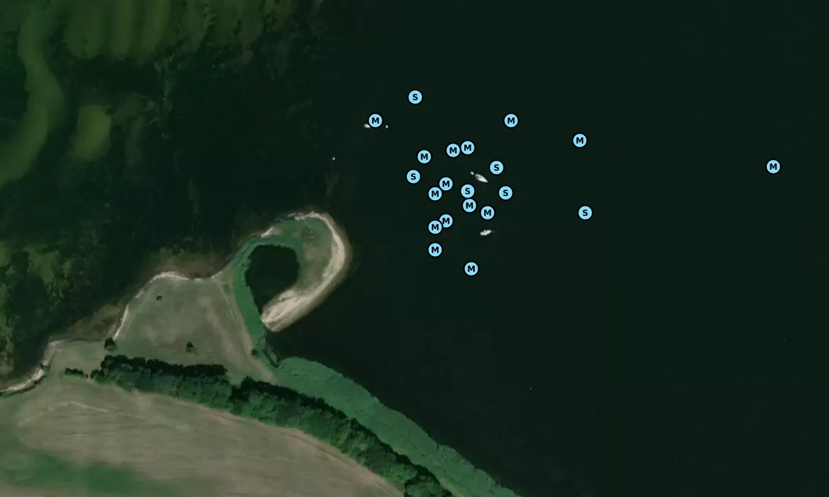 Satelite image of Zickersee