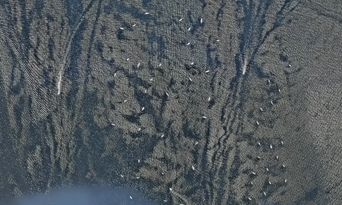 Flyfoto av Ziobro mooring
